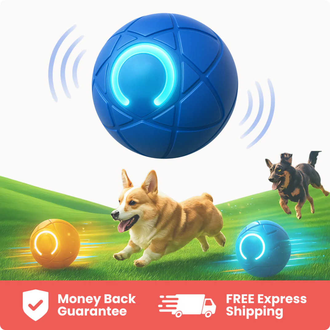 Zoomie Ball (FREE Gift)