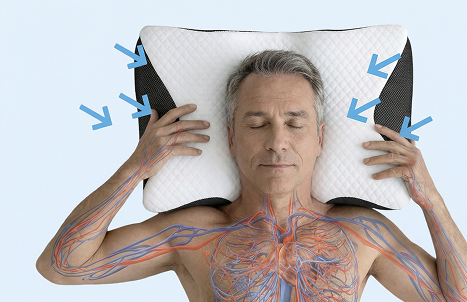 Pillow Haven Anti-Snore Pillow 1